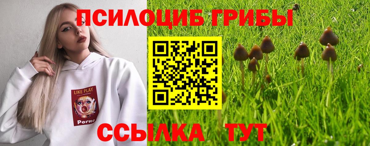 Псилоцибиновые грибы Psilocybe  Вход с VPN  наркошоп  Ишим 